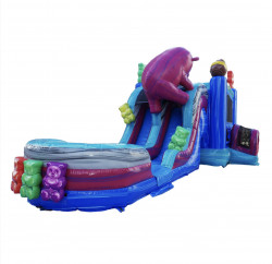 IMG 1559 1732404969 Gummi Bear XL Bounce House with Double Slides and Splash Pad