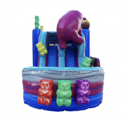 IMG 1560 1732404969 Gummi Bear XL Bounce House with Double Slides and Splash Pad