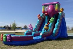 IMG 1926 1741736887 Gummi Bears 20' Double Lane Waterslide