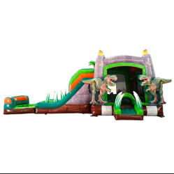 Dino Dive XL Bounce House with Double Slides