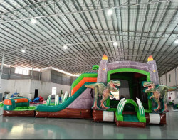 IMG 1101 1758798949 Dino Dive XL Bounce House with Double Slides
